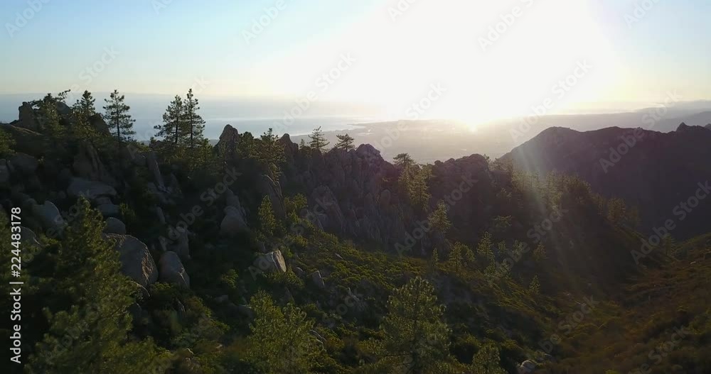 Beautiful Pine Tree Coast Aerial Santa Barbara Beautiful Pine Tree Coast Aerial Santa Barbara