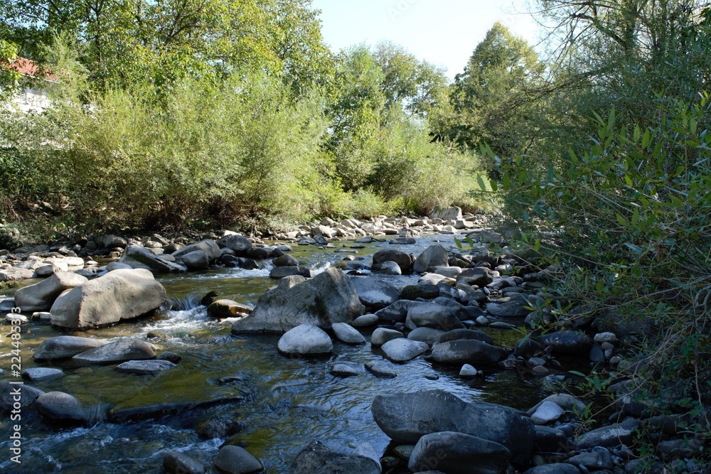 Mountain river running through the water under the sunshine with rocks and trees aside Mountain river running through the water under the sunshine with rocks and trees aside