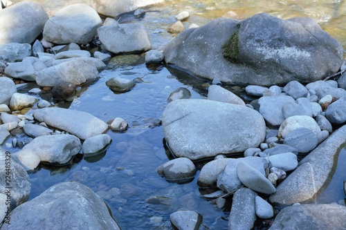 Forest river under the sunshine with many rocks and crystal waters