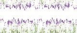 Flowers composition. Frame made of fresh lavender flowers on white background. Lavender, floral background. Flat lay, top view, copy space, banner 