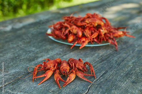 Crawfish cooked and served on wooden background photo