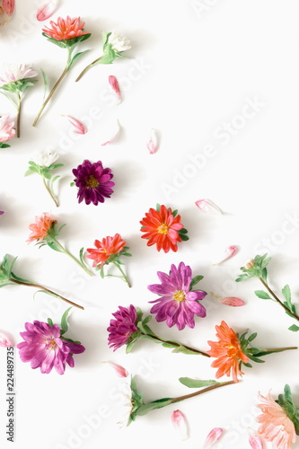 Flowers composition. Pattern made of fall flowers on white background. Autumn flowers concept. Flat lay  top view  copy space 