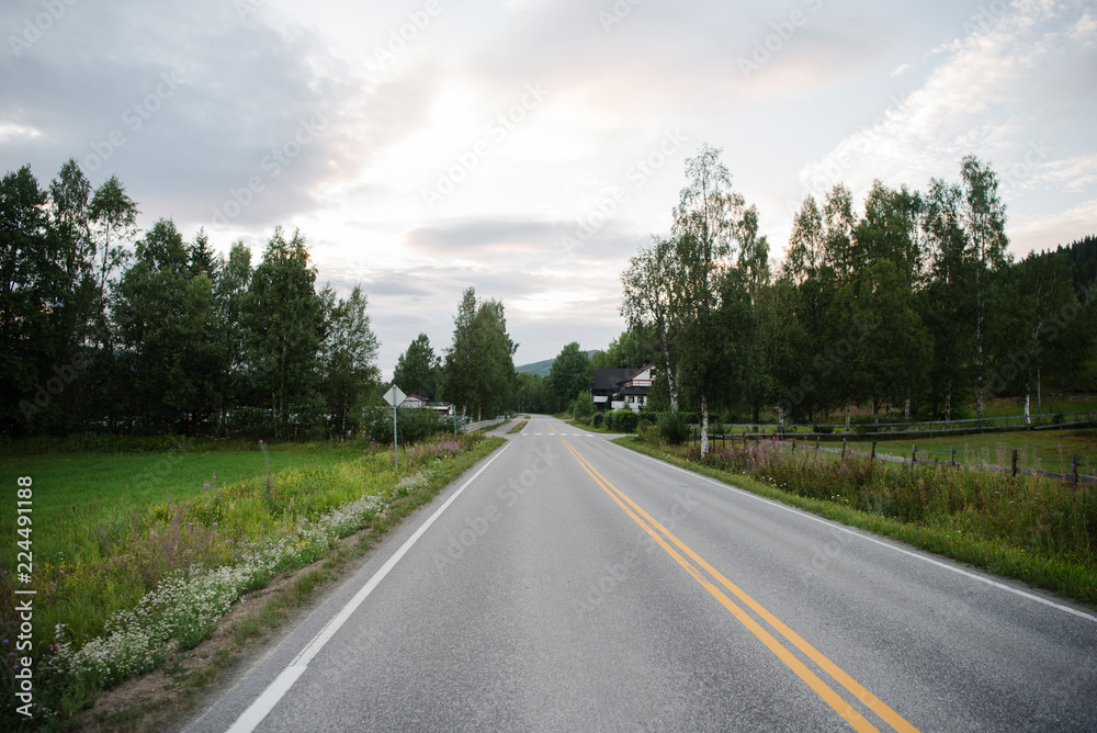 road with trees and cloudy sky in Trysil, Norway's largest ski resort road with trees and cloudy sky in Trysil, Norway's largest ski resort