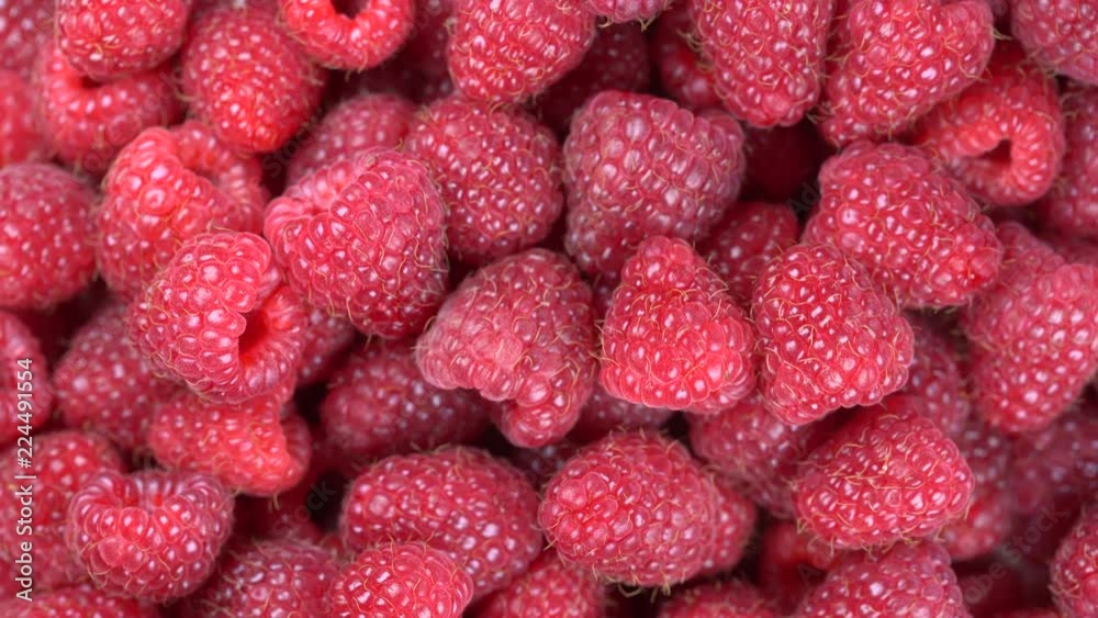 Fresh, ripe, juicy raspberry background, close up berry, rotation loopable 4k top view. Food background. Gastronomy concept, organic food. Macro red raspberries fruit Fresh, ripe, juicy raspberry background, close up berry, rotation loopable 4k top view. Food background. Gastronomy concept, organic food. Macro red raspberries fruit