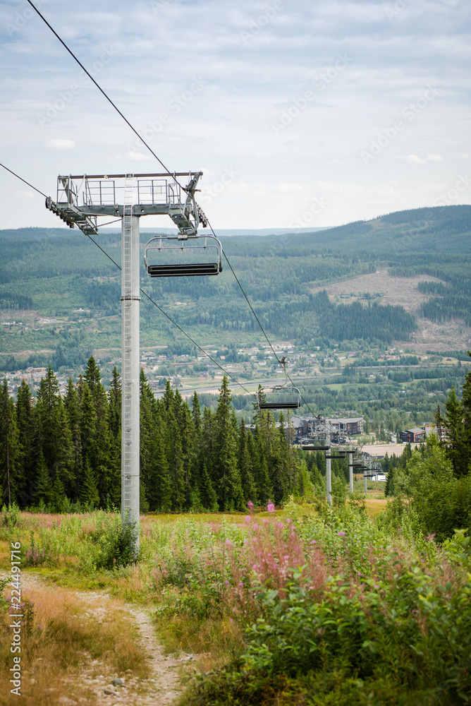 Ski lift over lupine flowers and mountain behind, Trysil, Norway's largest ski resort