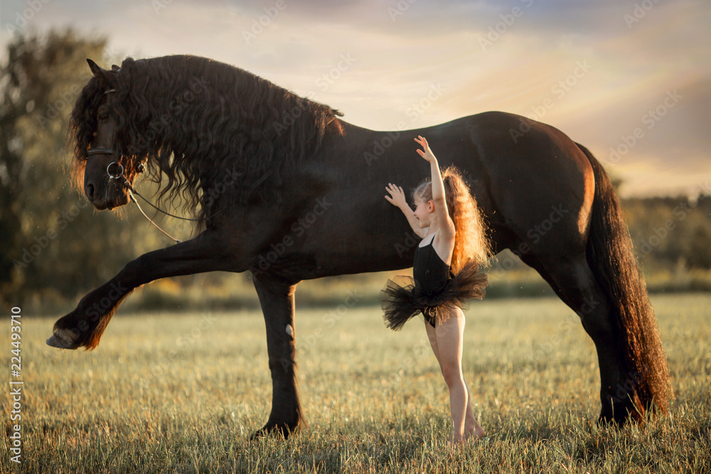 Little ballerina girl with black friesian stallion Little ballerina girl with black friesian stallion
