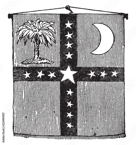 On the day that South Carolina proclaimed sovereignty, a banner for the new state was adopted, vintage illustration