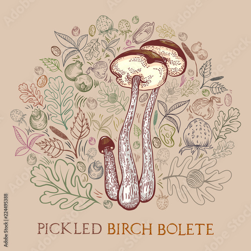 Brown-cap bolete with leaves, spices and berries