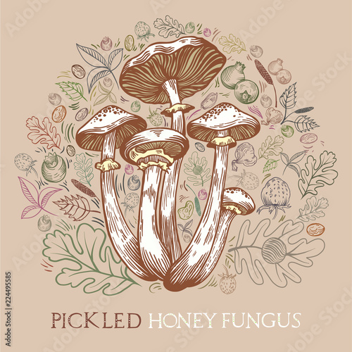 Pickled honey fungus mushroom with leaves, spices and berries