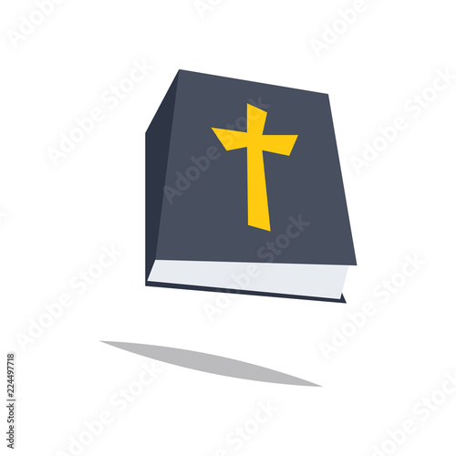  Bible icon.Carton style.