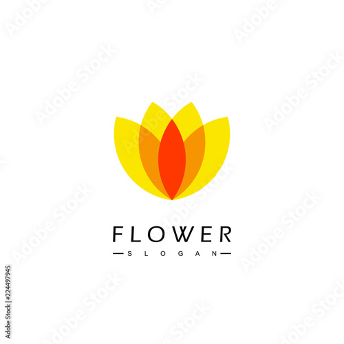 Flower Ornament Logo Design Vector