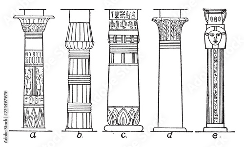 Types of Column, egyptian,  vintage engraving.