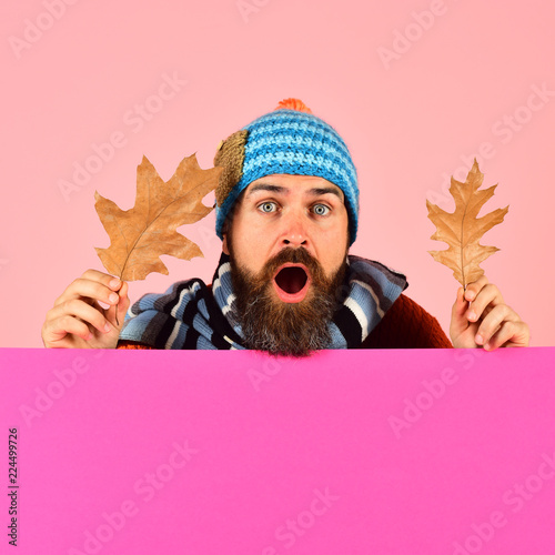 Man in warm hat holds oak leaves on pink background