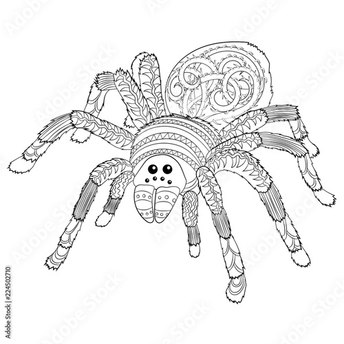 Adult coloring page with Halloween nasty spider