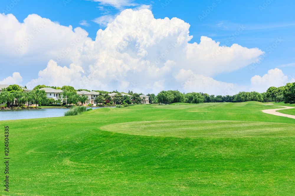 Green meadow and woods with apartment buildings scenery in summer Green meadow and woods with apartment buildings scenery in summer