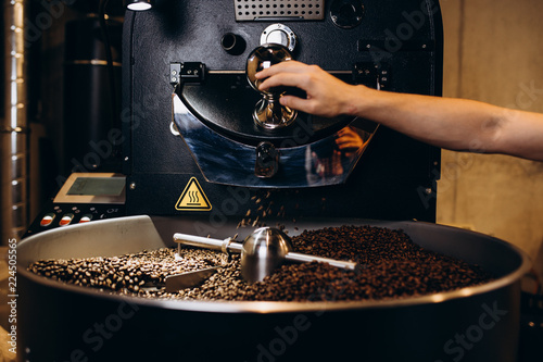 Fototapeta Freshly roasted coffee beans pouring from a large coffee roaster into the cooling cylinder