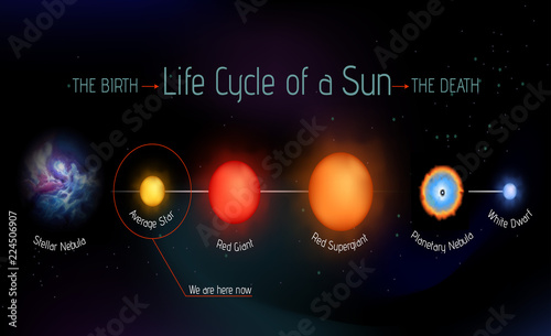 Sun life cycle vector