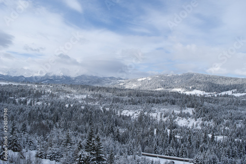Winter mountains forest