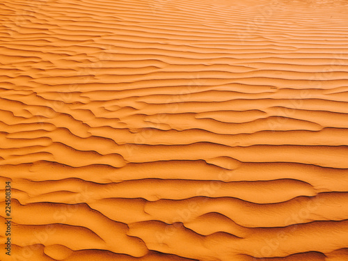 Close-up of a Sand dune © frederikloewer