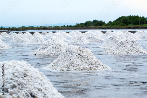 Close up pile of raw salt at salt field. salt agriculture before ssalt saturation process in  factory. imafe for background, copy space and backdrop photo