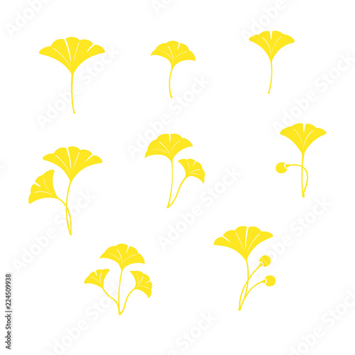 Set of ginkgo leaves illustration
