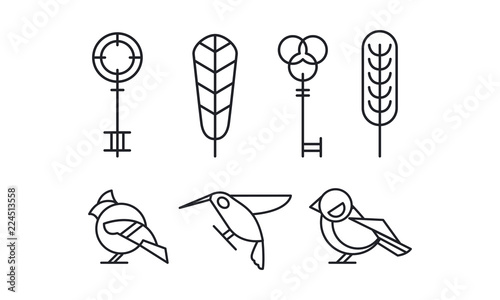 Set of keys, leaves and birds hummingbird, woodpecker and sparrow in linear style. Vector elements for book or postcard