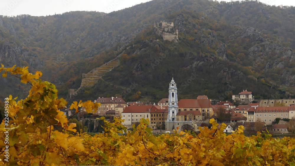 Yellow vineyard in the Wachau valley with Durstein castle and blue church in Austria