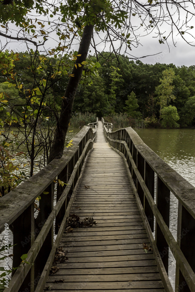 Bridge Across Water