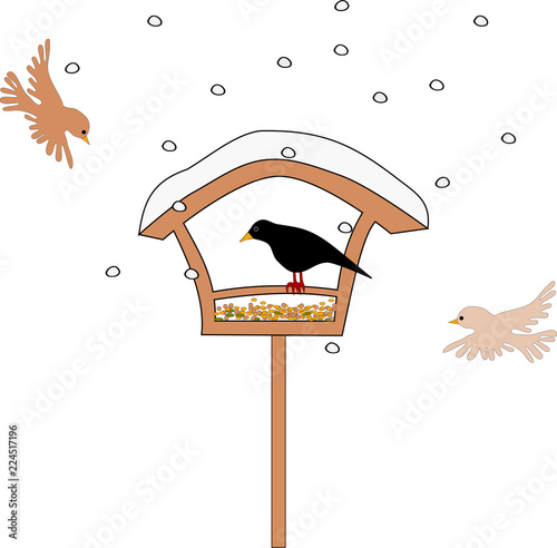 Vogelfütterung im Winter