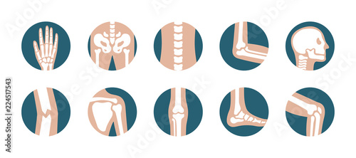 Set of human joints and bones. Vector knee, leg, pelvis, scapula, skull, elbow, foot and hand icons. Orthopedic and skeleton symbols on white background photo