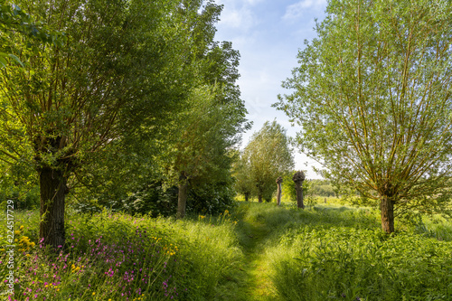 Le Parc d'Isle à Saint-Quentin (02)