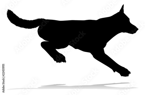 A detailed animal silhouette of a pet dog photo