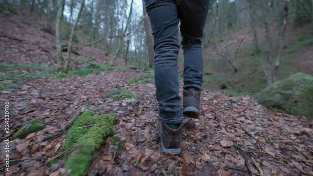 walking in the forest Slow motion walking in the forest Slow motion