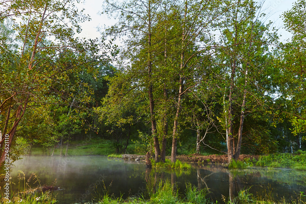 Obraz premium Morning fog at north lake