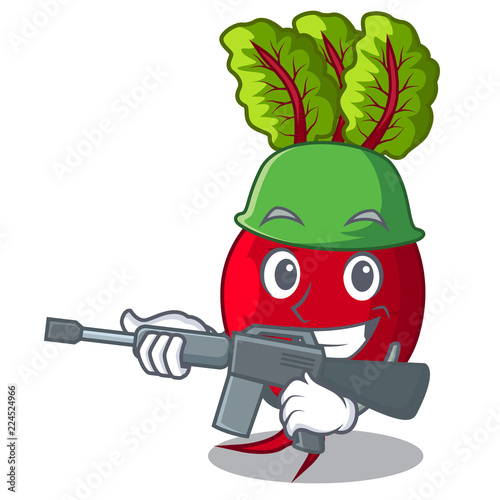 Army cartoon fresh harvested beetroots in wooden crate