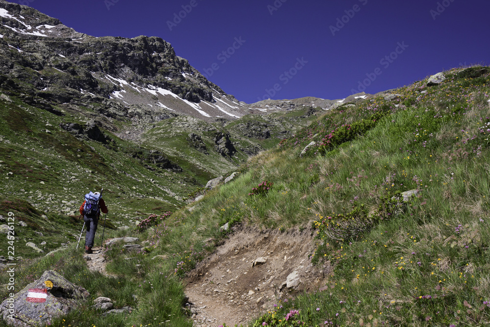 A hiker on a mountain trail, busy reaching the Refuge.