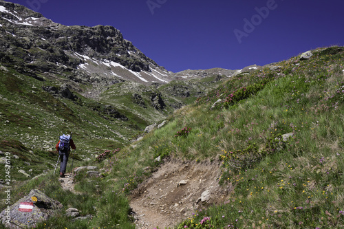 A hiker on a mountain trail, busy reaching the Refuge.