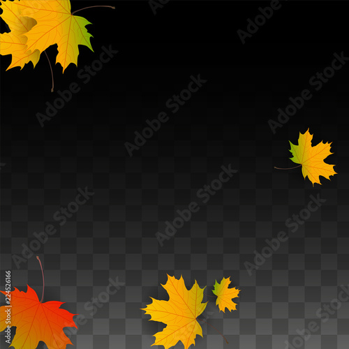 September Vector Background with Golden Falling Leaves. Autumn Illustration with Maple Red, Orange, Yellow Foliage. Isolated Leaf on Transparent Background. Bright Swirl. Suitable for Posters.