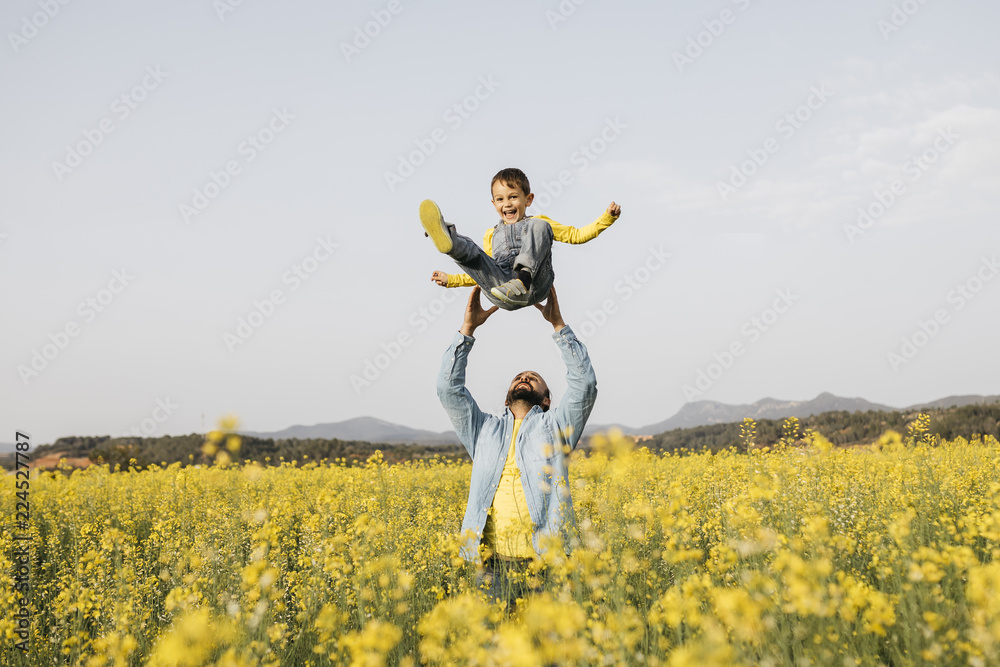 Spain, father and little son having fun together in a rape field Spain, father and little son having fun together in a rape field