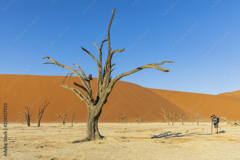 Africa, Namibia, Namib desert, Naukluft National Park, Africa, Namibia, Namib desert, Naukluft National Park,