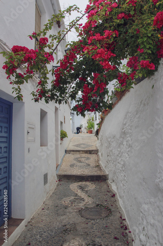 Fototapeta Naklejka Na Ścianę i Meble -  old street in santorini island greece