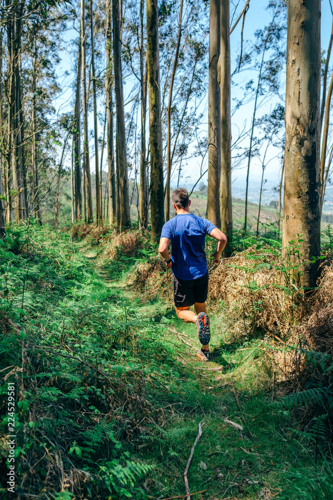 Young man participating in a trail race through the forest Young man participating in a trail race through the forest