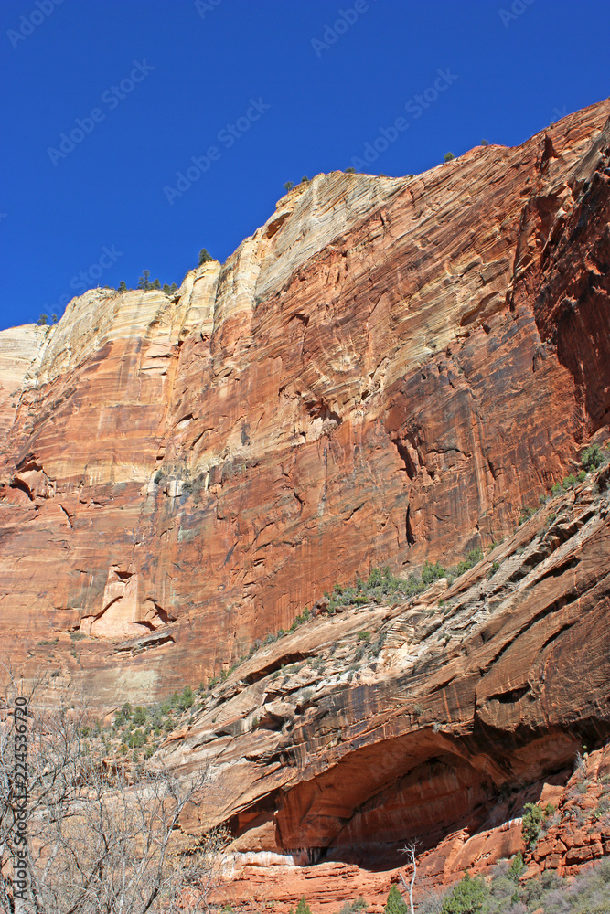Rock face in Zion National Park, Utah Rock face in Zion National Park, Utah