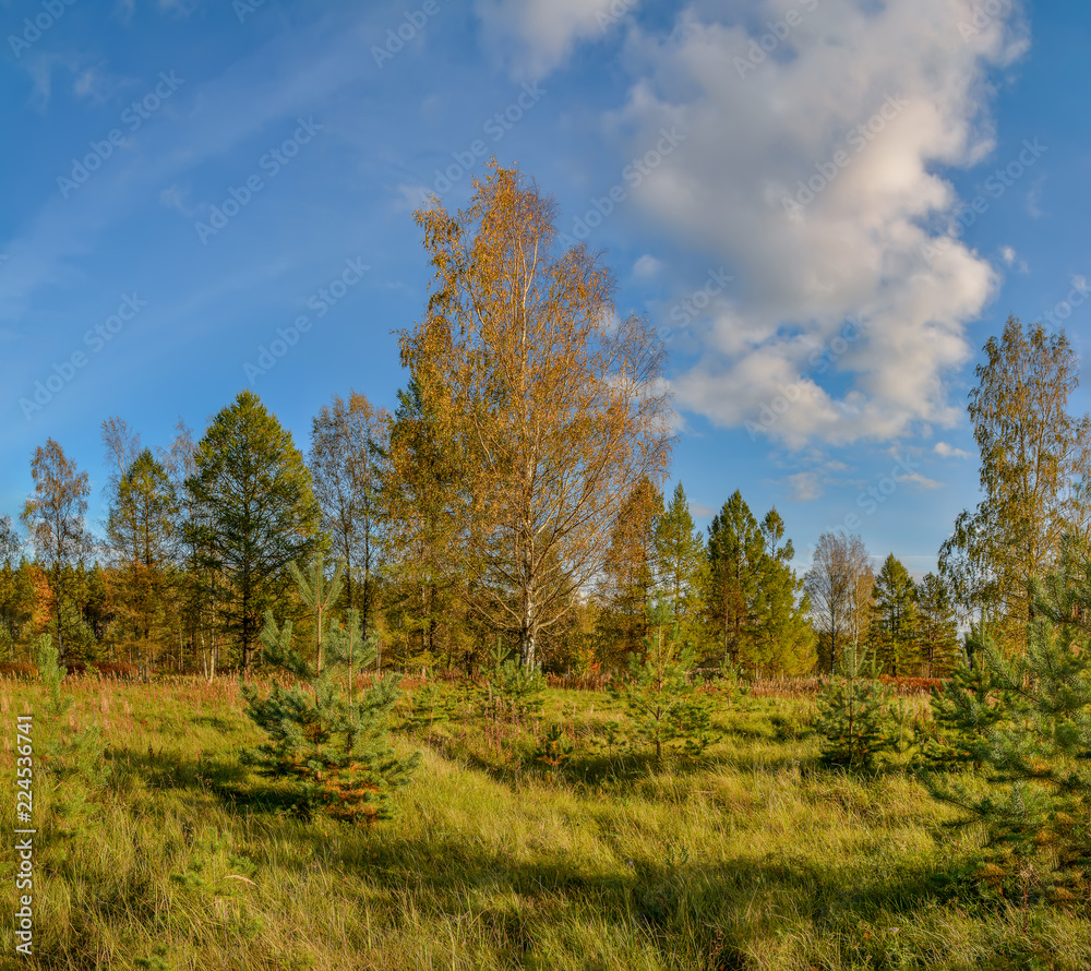 Sunny autumn evening in the country.Shadows from the setting sun. Sunny autumn evening in the country.Shadows from the setting sun.