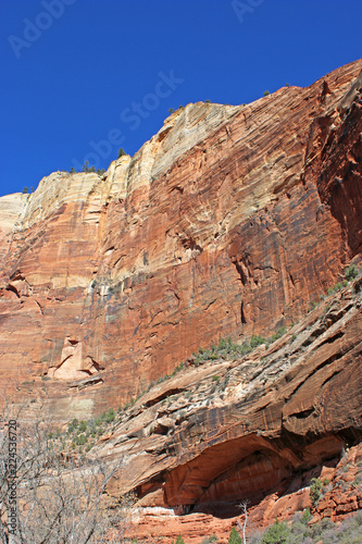 Rock face in Zion National Park  Utah