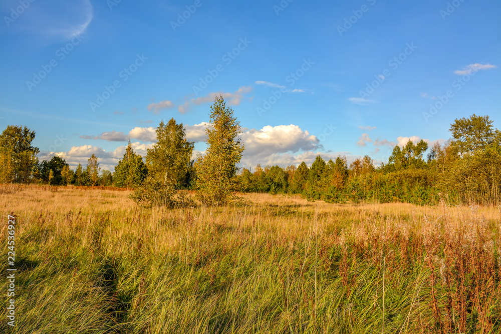 Sunny autumn evening in the country.Shadows from the setting sun.