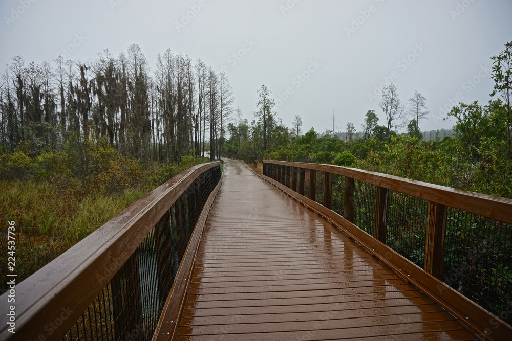 Okefenokee National Wildlife Refuge, GA: A section of the boardwalk leading to the Observation Tower in the 402,000‑acre Okefenokee National Wildlife Refuge, on a rainy day.