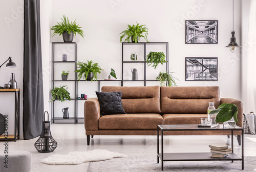 Table in front of brown leather couch in white apartment interior with posters and plants. Real photo