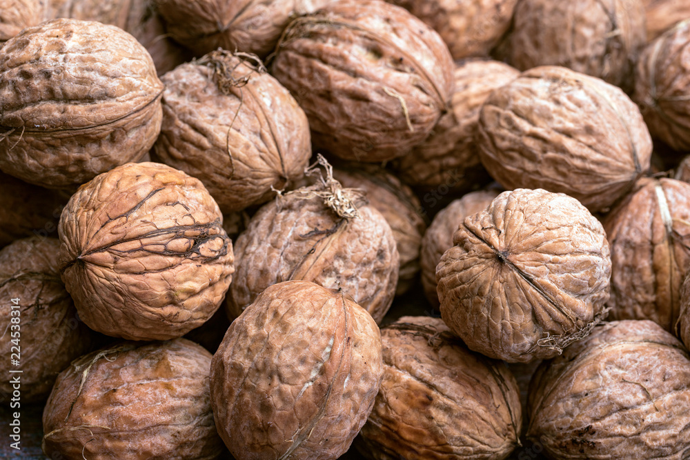 pile of walnuts pile of walnuts