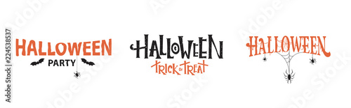 Halloween typography set  with spiders and cobweb. Vector illustration.